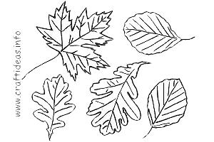 Patterns, Templates and Coloring Pages